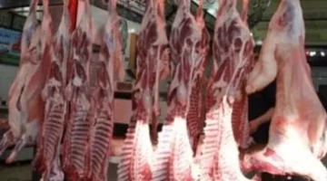 استقرار أسعار اللحوم في كفر الشيخ عند 270 جنيها يوم الإثنين 6 أبريل